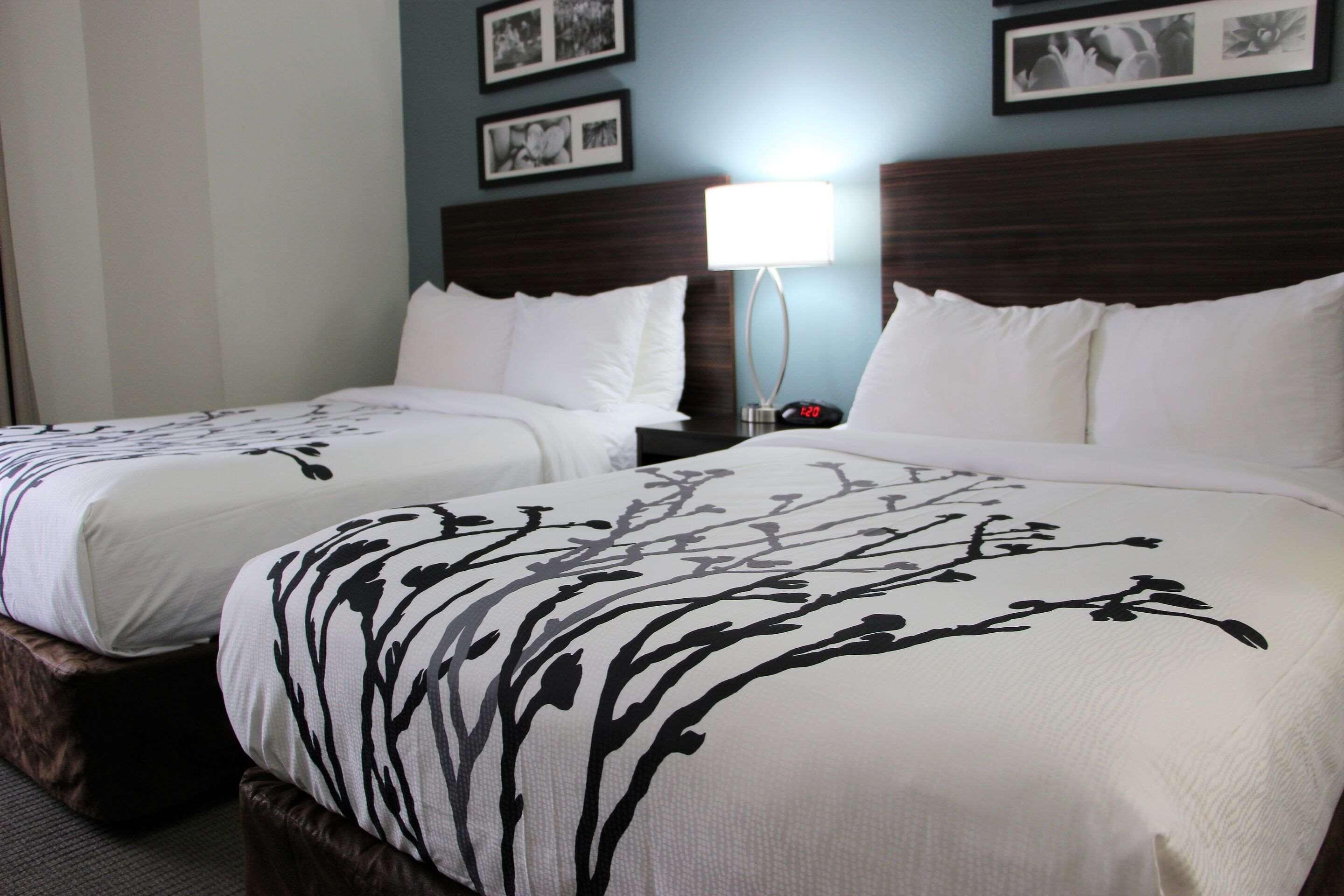Sleep Inn Chattanooga Exteriér fotografie
